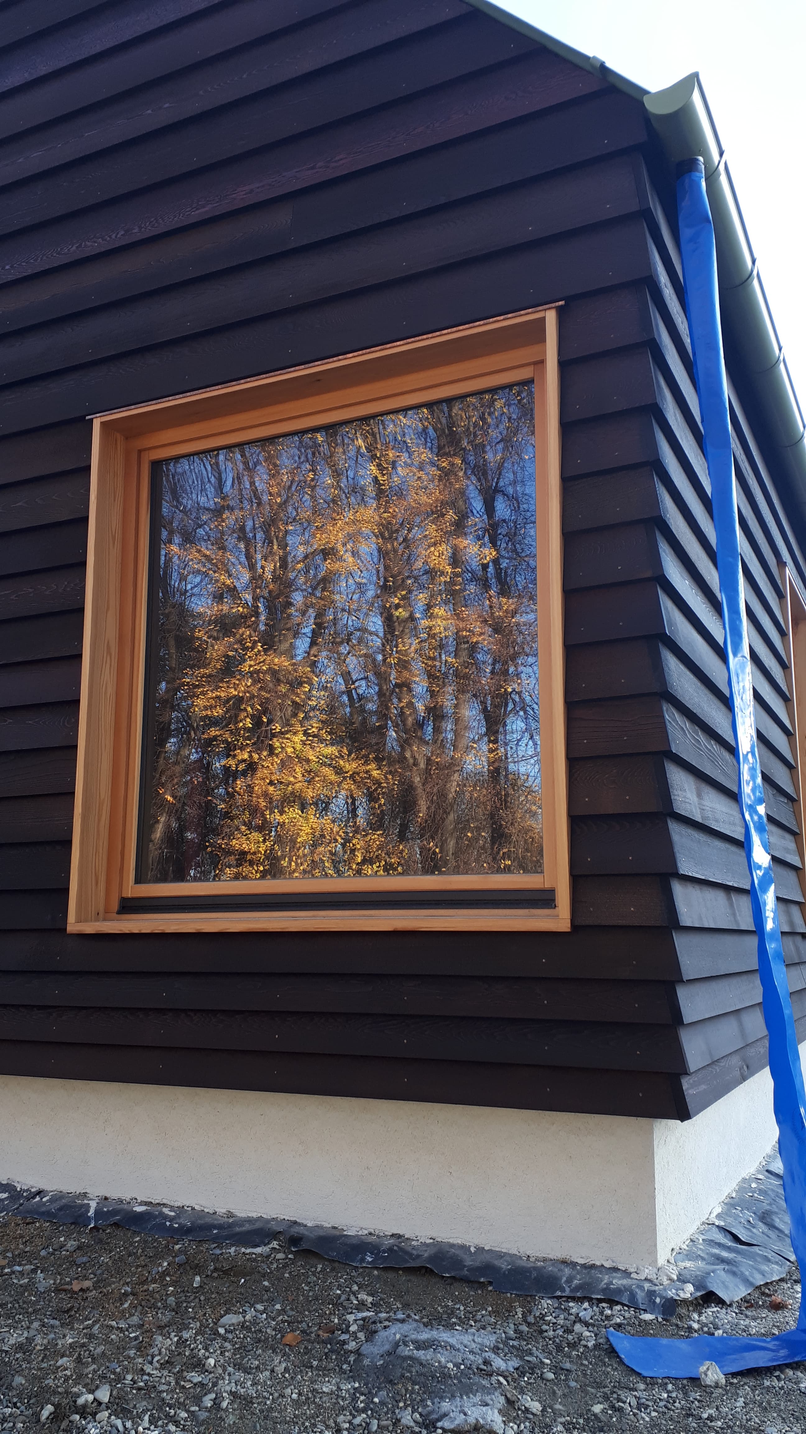 Golden autumn trees reflected in a large window on a dark wood-sided modern building.